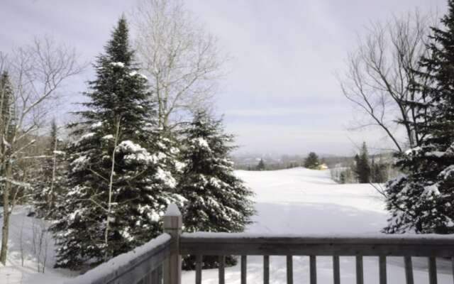 Oasis - Tremblant Sunstar