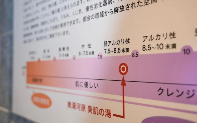 SUPER HOTEL Premier Ikebukuro Natural Hot Spring