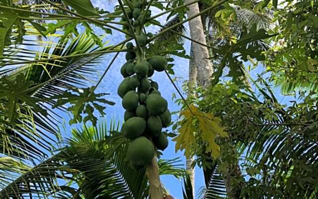 New Raya - Nias Beach Bungalows