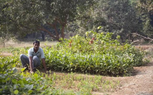 Khem Villas Ranthambore