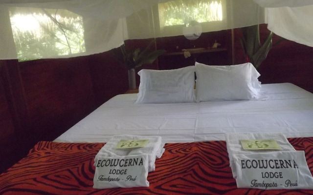 Ecolucerna Lodge Tambopata