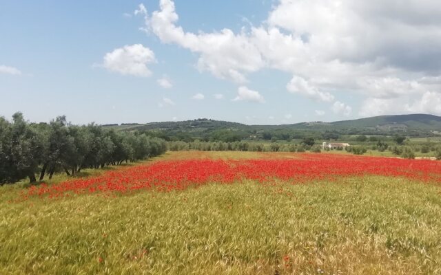 Home by Mel G Manciano