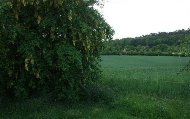 La Touche Allard