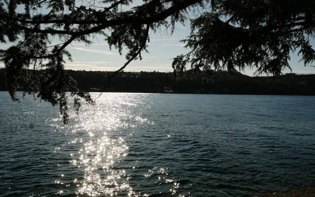 Alma - Near Lake in Sal