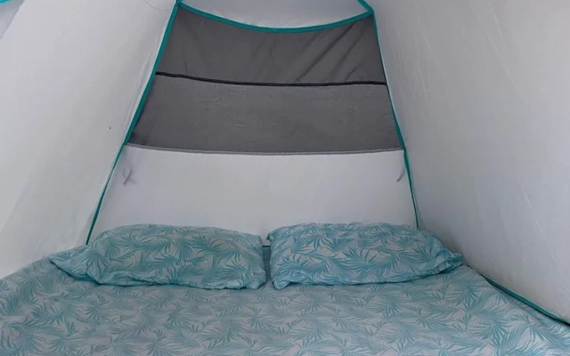 Bajo las Estrellas eco camp