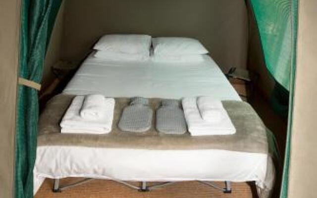 Old Mac Daddy Luxury trailer park