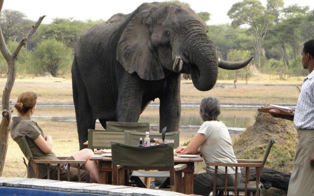 The Hide Lodge