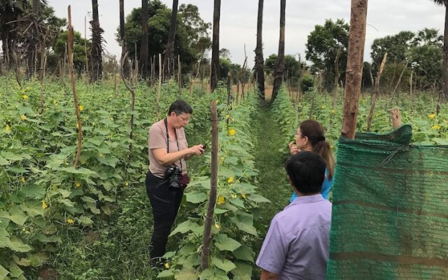 Madam Sokha Homesteading