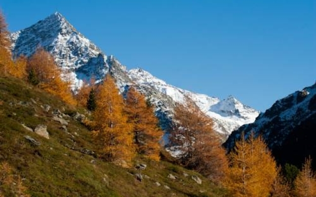Ferienwohnung Scheiber