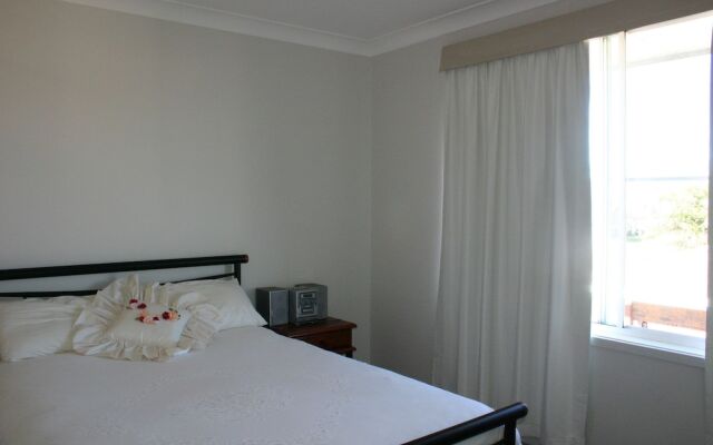 Sea Shells - Lennox Head