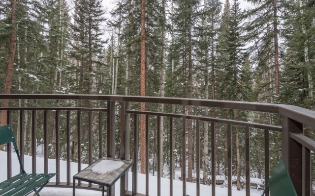 Bear Creek Lodge 203a 1 Bedroom Condo by Alpine Lodging Telluride