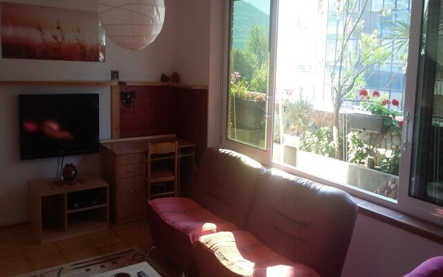 Apartment Zoran Centar