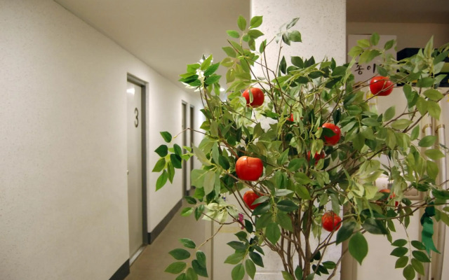 Empathy Dongseongro Guesthouse