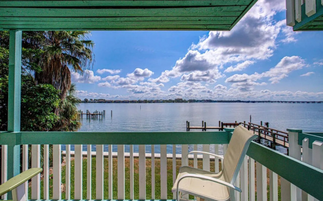 Anna Maria Island Beach Palms 2A