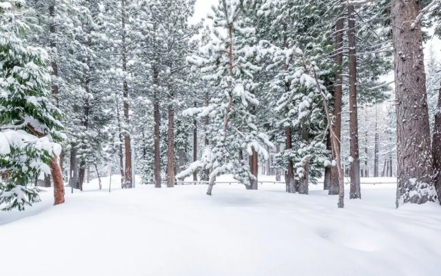 Cabins at Mammoth Lakes