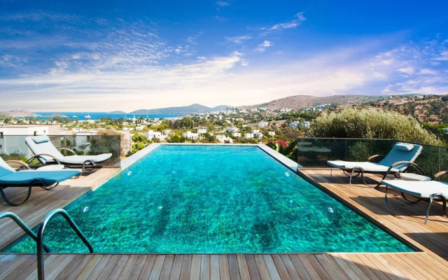 Vhillas Private Luxury Villa Turkbuku