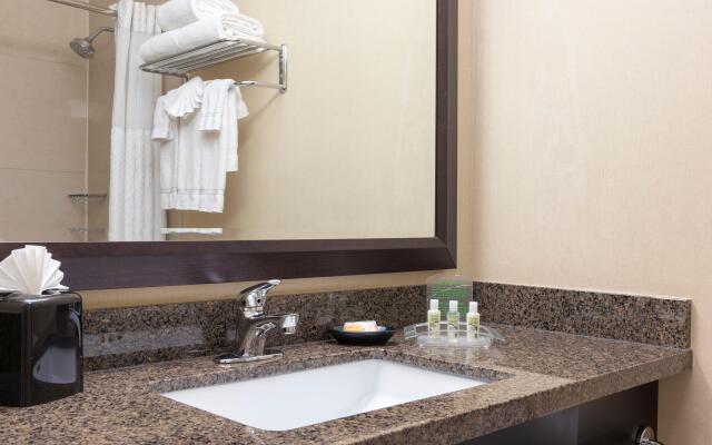 Holiday Inn Chicago - Elk Grove, an IHG Hotel