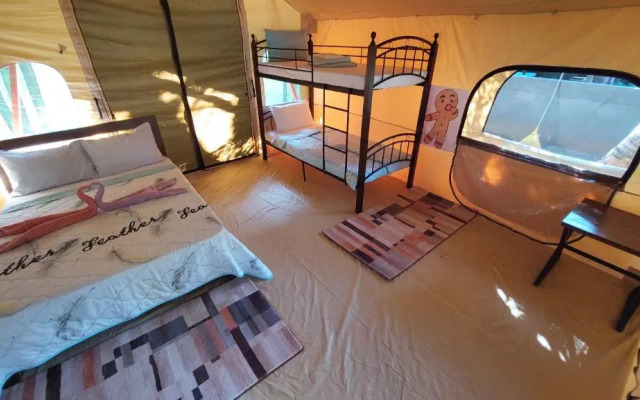 Shenanigans Glamping Resort