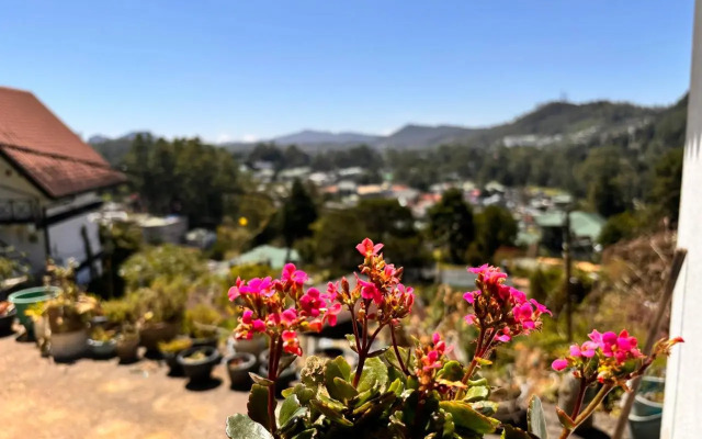 Shiny View
