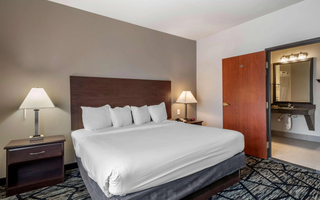 BEST WESTERN PLUS McKinney Inn & Suites
