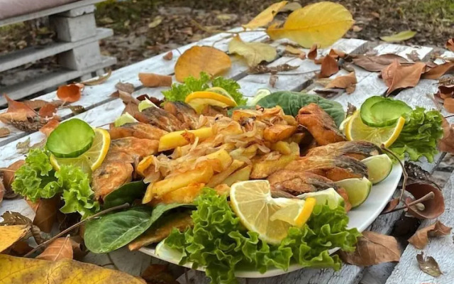 Organic House & Aquapark