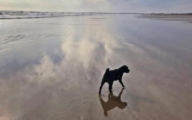 The Sun Trap @ Bridlington's Bed & Bowl Beach Breaks