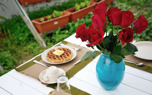 Eco Bed and Breakfast