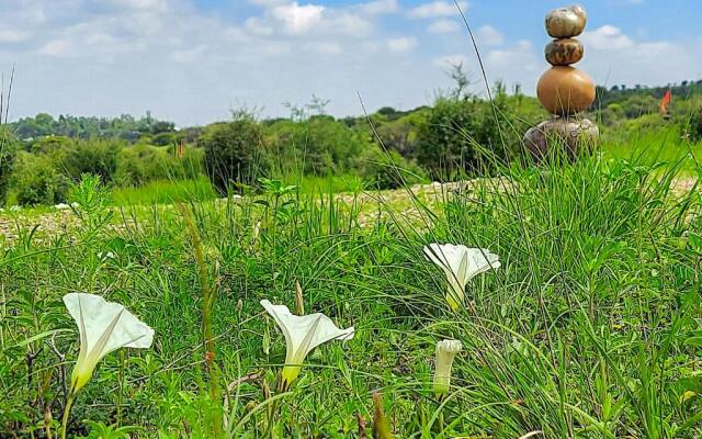 ZenZontle GlampingSMA By Rotamundos