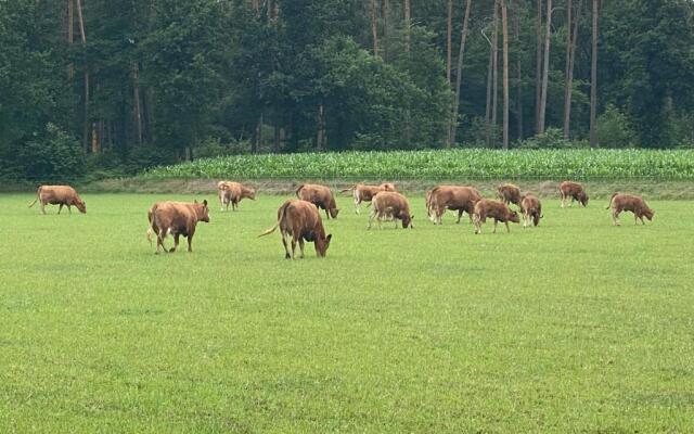 Wilsmann Apartmentvermietung