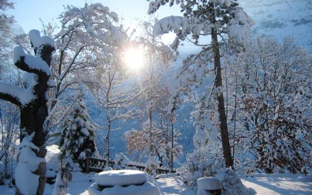 Apartment With 2 Bedrooms in Grindelwald, With Wonderful Mountain View