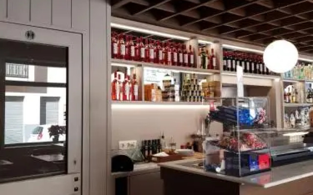 Отель Terminus Puigcerdà