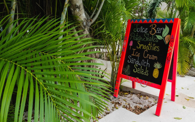 Modern studio spa & gym at Central Park Tulum