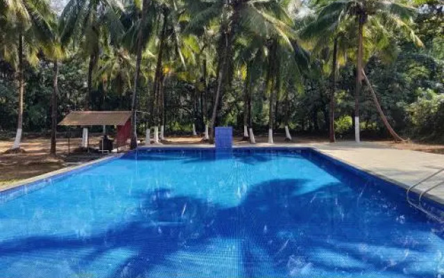 70% Beach Resort