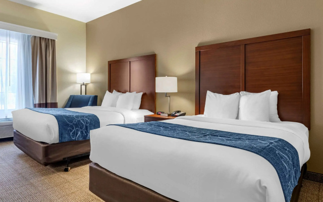 Comfort Inn & Suites Paris