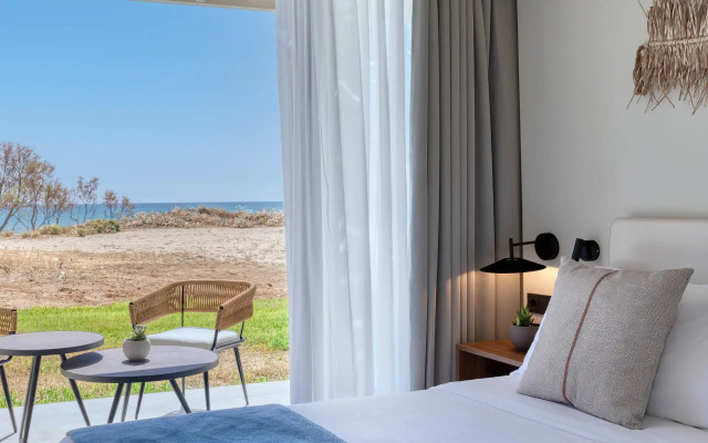 Domes Aulus Zante, Autograph Collection