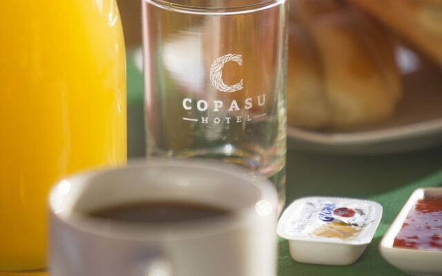 Copasu Hotel