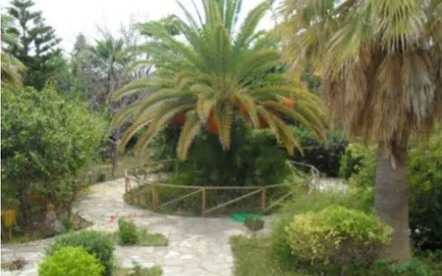 Mikro Village