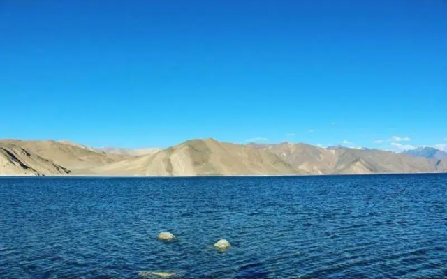 Grand Cozy Cottage Pangong
