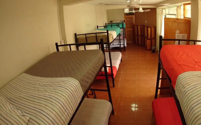 La Casa de Bamboo - Hostel