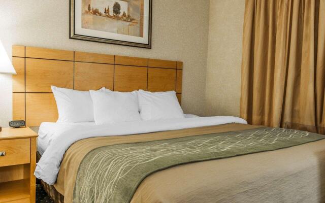 Comfort Inn Near Kokomo Speedway