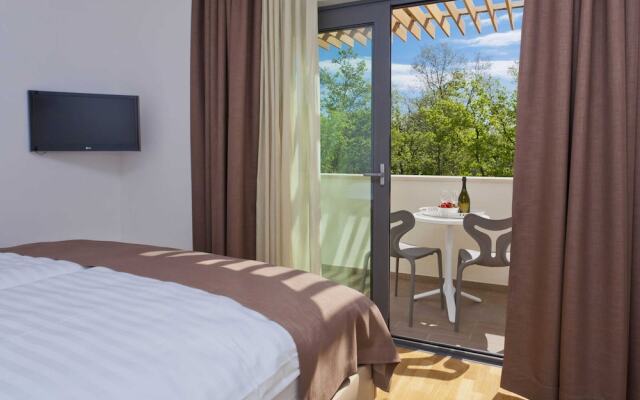 Luxurious Villa Novigrad With Swimming Pool
