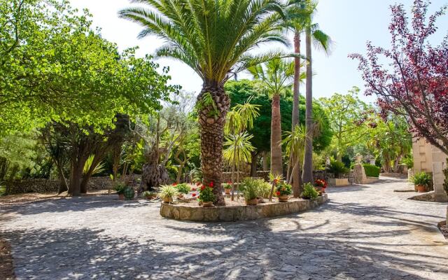 Villa Es Pinar