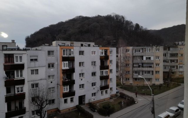 Apartament Sighișoara