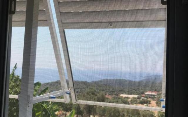 Senayablaevpansiyonculuk