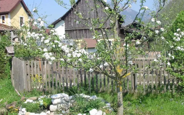 Ferienwohnung Am Pflanzgarten