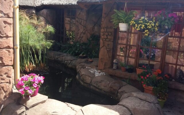 Pride Rock Accommodation