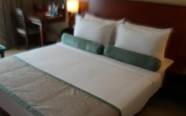 Hotel Green Olive