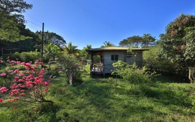 Finca Minoy