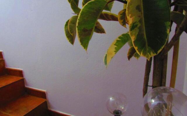 Apartamentos Paraje San Blas