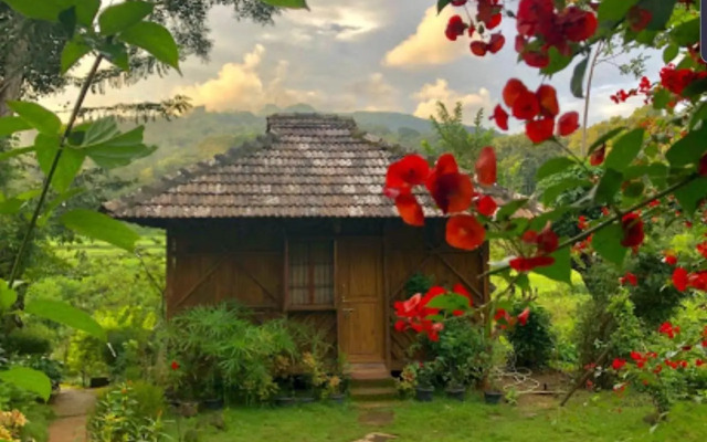 Jungle Retreat Wayanad